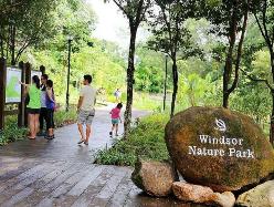 MacRitchie Reservoir & Windsor Nature Park